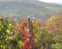 Impressionen aus der Praxis