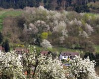 Impressionen aus der Praxis