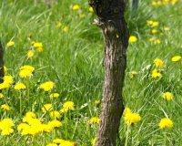 Impressionen aus der Praxis