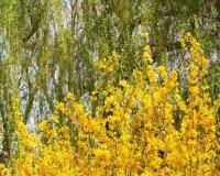 Impressionen aus der Praxis